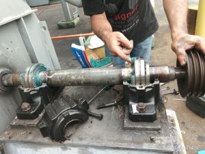 greasing bearing